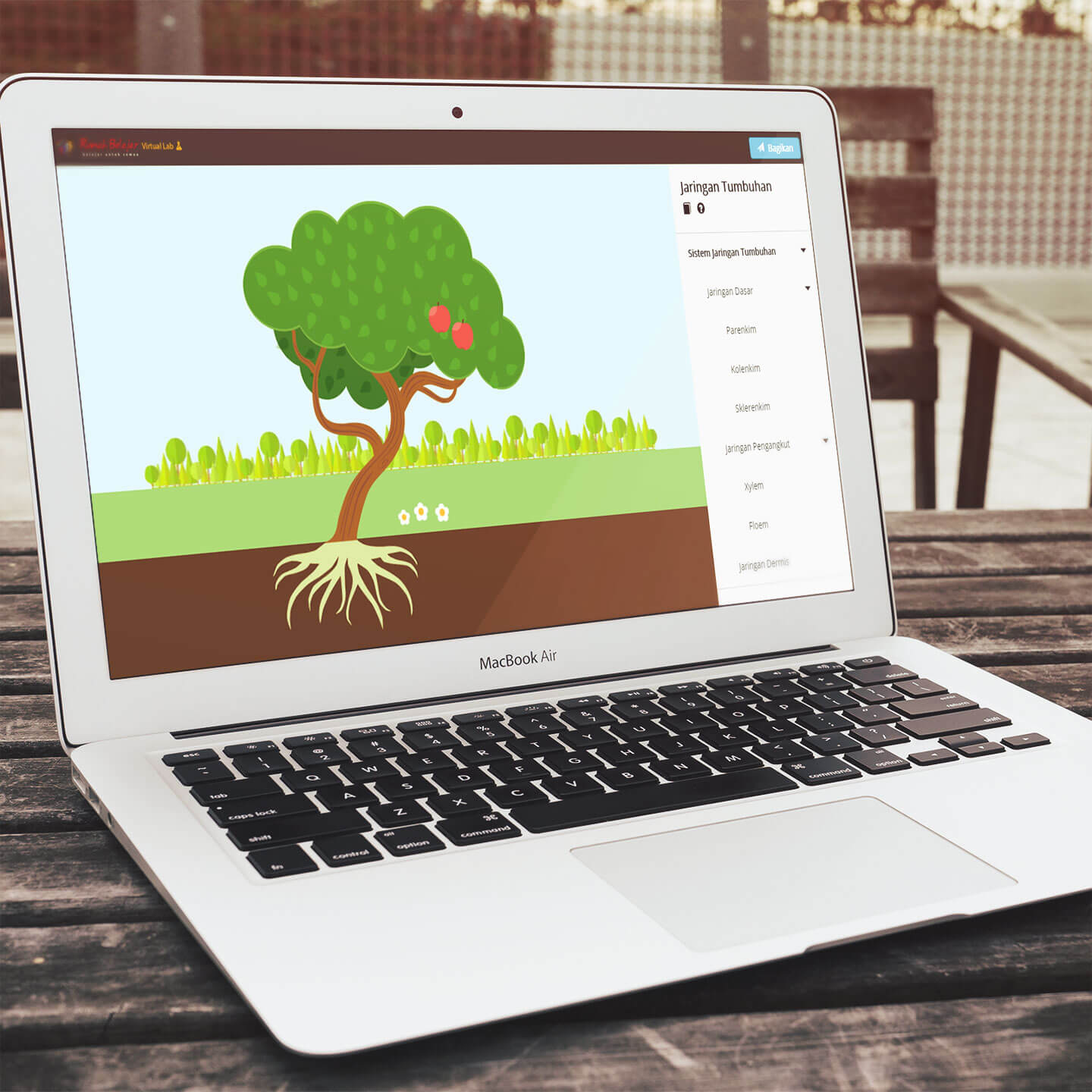 Interactive Virtual Laboratory: Plant Tissue
