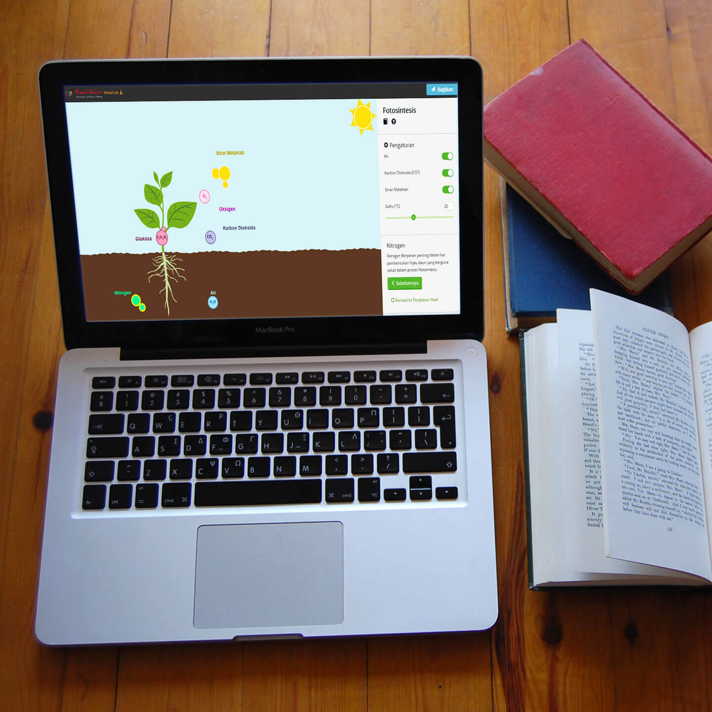 Interactive Virtual Laboratory: Photosynthesis