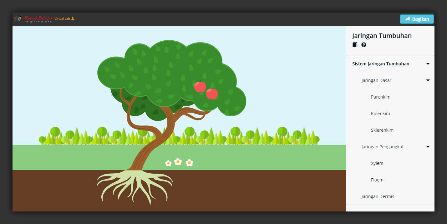 Interactive Virtual Laboratory: Plant Tissue