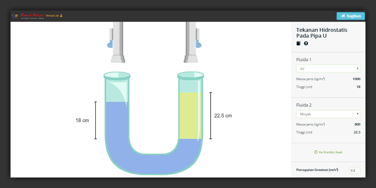 Interactive Virtual Laboratory: Geometry Transformations