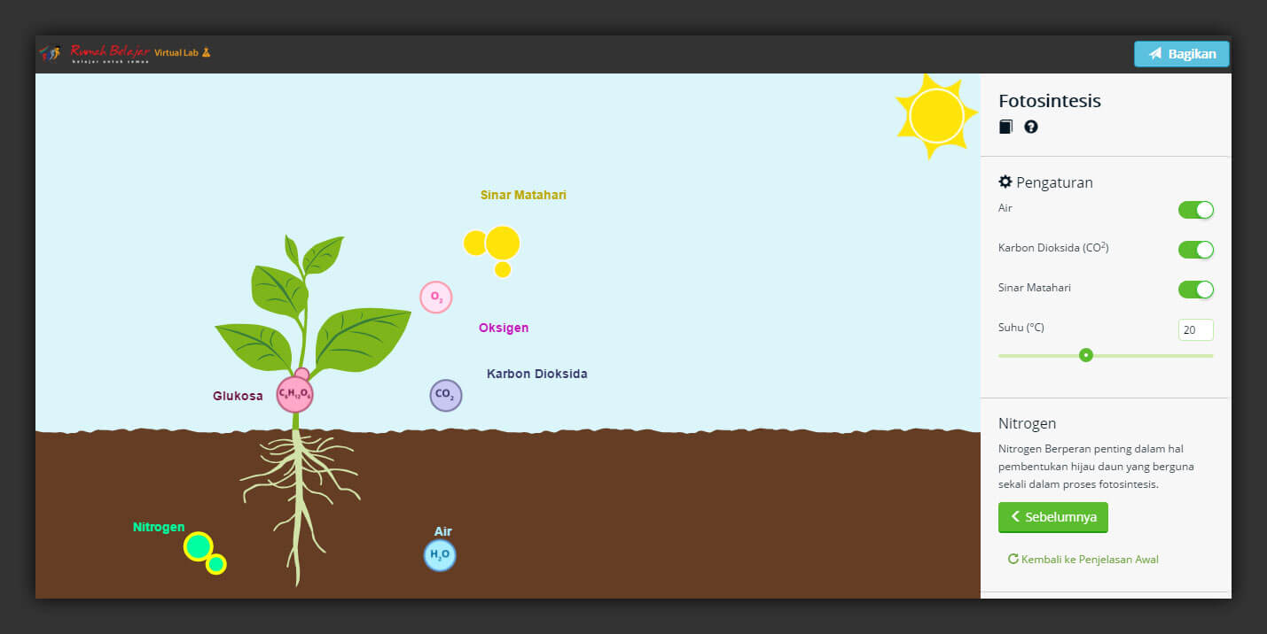 Interactive Virtual Laboratory: Photosynthesis